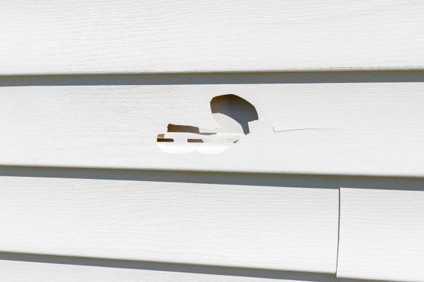 Best Brick Veneer Siding  in Mount Airy, NC